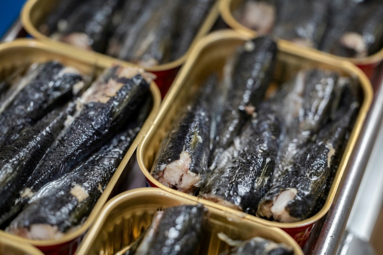 Sardine industrielle : le Conseil de la concurrence ouvre une enquête pour entente présumée sur les prix